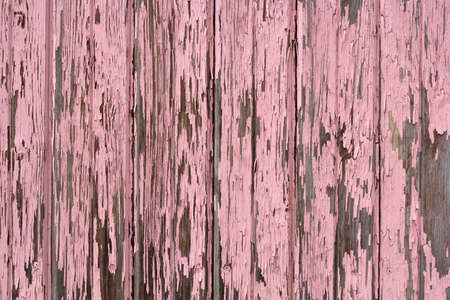 texture of old wooden boards painted in pastel pink colorの写真素材