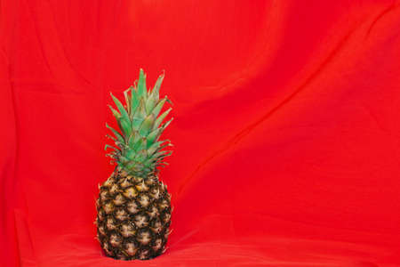 pineapple on a red textile backgroundの写真素材