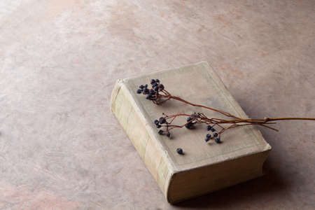 still life with old book and dry branches with berries of wild grapes. copy spaceの写真素材