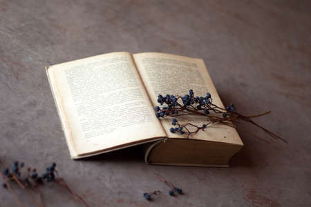 still life with old book and branches with berries of wild grapesの写真素材