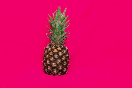 Pineapple on a bright pink background. copy space.の写真素材