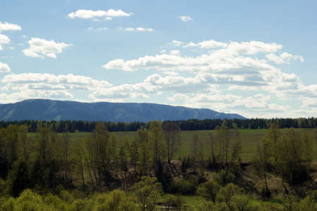 landscape with forest on the background of the Ural mountains on a clear Sunny dayの写真素材