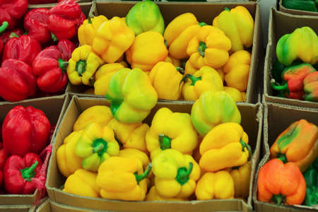 Bulgarian pepper of different varieties in the boxes on the marketの写真素材