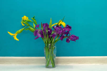 yellow and purple irises in a glass vase in front of the blue wallの写真素材