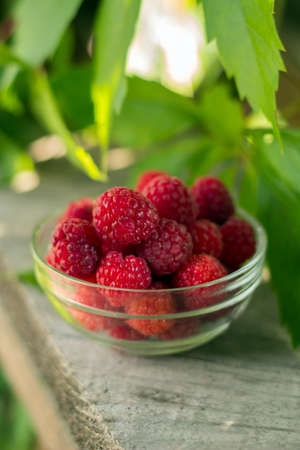 soft focus on freshly harvested raspberries in a glass bowlの写真素材