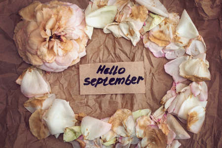 faded rose, faded rose petals and note that says "Hello September" on a craft paperの写真素材