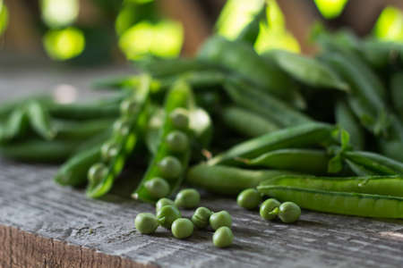 pods of young green juicy peas in the gazebo on a wooden bench in summerの写真素材