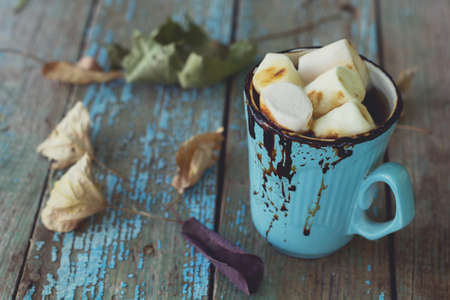 a ?up of warming hot chocolate with marshmallows among autumn leavesの写真素材