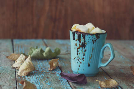 a ?up of warming hot chocolate with marshmallows among autumn leavesの写真素材