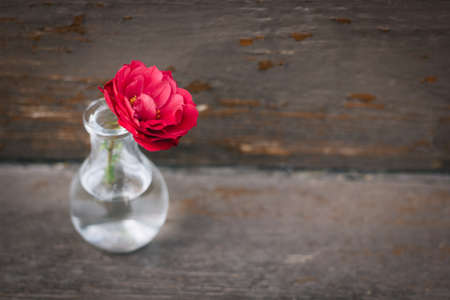 Red roses in a small vintage vases on a brown backgroundの写真素材