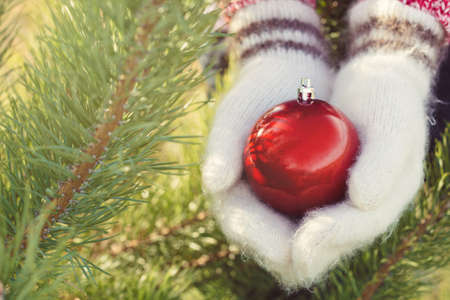 girl hands in woollen mittens holding Christmas red ballの写真素材