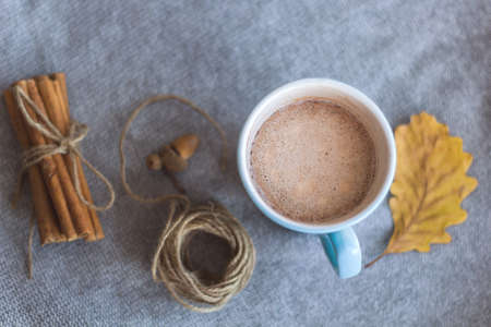 top view cocoa cup and autumn leavesの写真素材