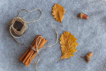 autumn flat lay composition autumn leaves, cinnamon sticks, oaksの写真素材