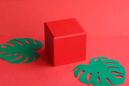 red box with gift on red background and green paper leaves monsteraの写真素材