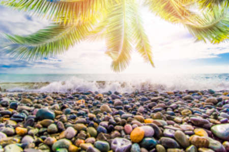 blurred natural background with sea and palm leavesの写真素材