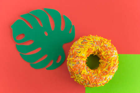 top view donut and monstera leaf green and red backgroundの写真素材