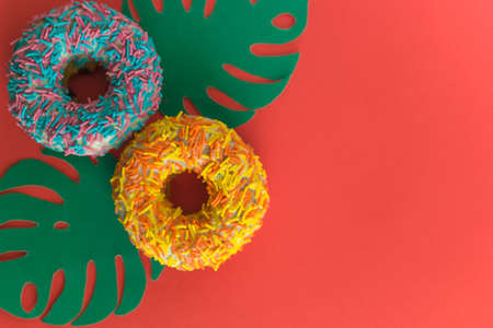 top view donuts and paper leaves monstera red backgroundの写真素材