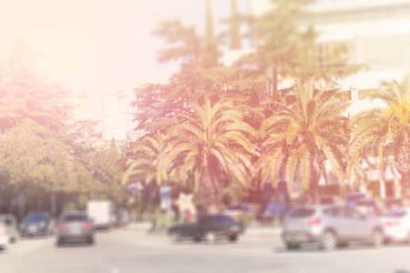 blurred sunny toned summer background city street with cars and palm treesの写真素材