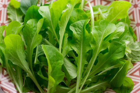 top view fresh green salad leaves