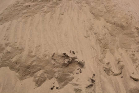 beach sand texture for a background
