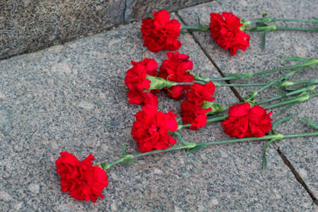 clove red flowers on a marble backgroundの写真素材