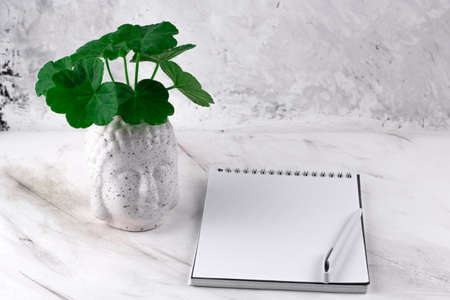 Buddha head vase with green plant and notebook on a marble backgroundの写真素材