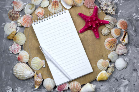 top view notebook with empty sheet, pen and sea shellsの写真素材