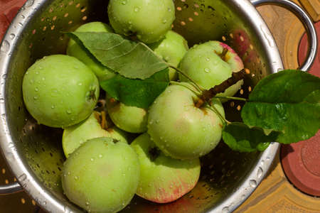 top view fresh green apples in colander with water dropsの写真素材