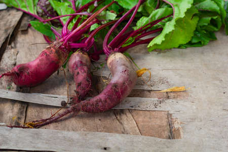 fresh organic beets on wooden backgroundの写真素材