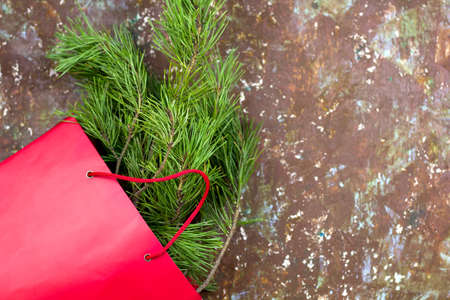 red bag with tree branches brown shabby vintage background top viewの写真素材