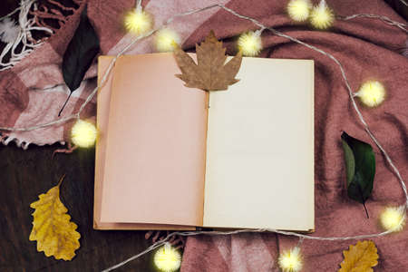 top view open vintage book, autumn sheets, garland