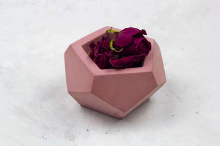 dry red roses in a concrete pot