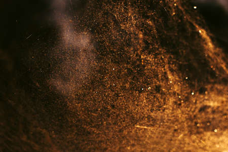 abstract golden festive blurred background with white round bokeh,fuzzy spiderweb in the sunlight...