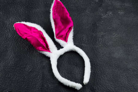 Funny bunny white ears top view black backgroundの写真素材