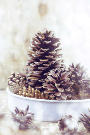 bowl with pine cones decorations for winter holidays with painted swonの写真素材