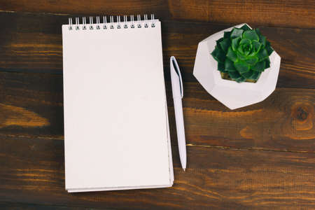 top view empty notebook and succulent plant on wooden backgroundの写真素材