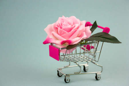 pink rose in shopping cart on a blue backgroundの写真素材