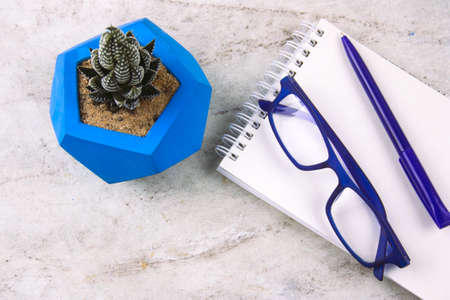 top view succulent in concrete pot , white sheet of paper, pencil and glasses on a marble background