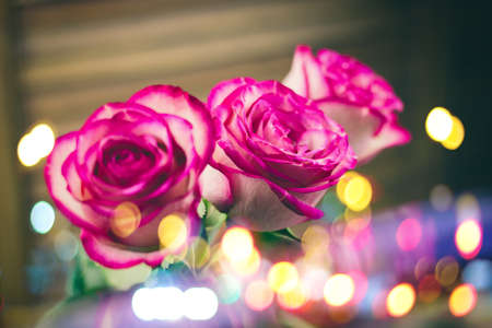 roses on a wooden background faded film toning,shiny bokeh