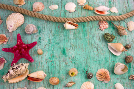 top view sea shells mint green background copy space,summervacation backdropの写真素材