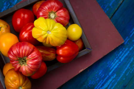 top view fresh organic tomatoes from farmの写真素材