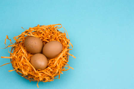 top view brown eggs in a decorative nest on a vibrant blue backgroundの写真素材
