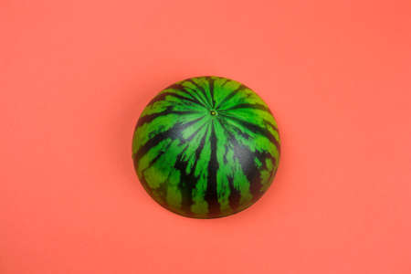 top view anti stres squishy toy watermelon on a coral backgroundの写真素材