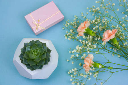 top view potted succulent, gift box and bouquet of flowers on a blue backgroundの写真素材