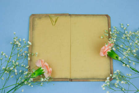 top view vintage book with empty sheets and flowers on a pastel blue backgroundの写真素材