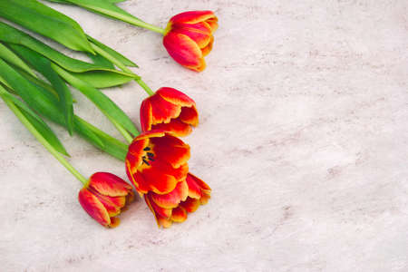 beautiful red tulips for Mother's Day on marble background, top viewの写真素材