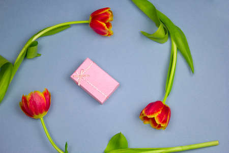 flat lay pastel pink gift box and red tulips frame on a blue backgroundの写真素材