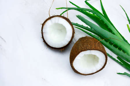 top view coconut and aloe vera green leaves onmarble table, natural cosmetics ingredients