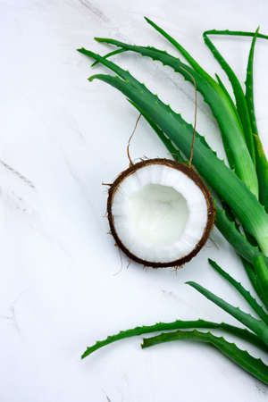 top view coconut and aloe vera green leaves onmarble table, natural cosmetics ingredients