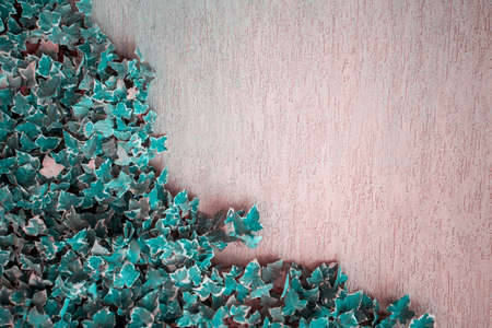 summer backdrop with blank space for text and the creeper leaves   on the wall trendy toned
